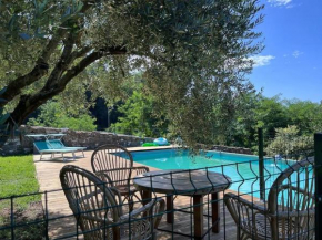 Podere il Giardino - Casa vacanza in casale tipico toscano, con parco e piscina - Lucca